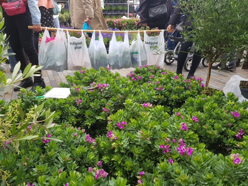 Groningen bloemetjesmarkt: beleef de spectaculaire Bloemenjaarmarkt 2025